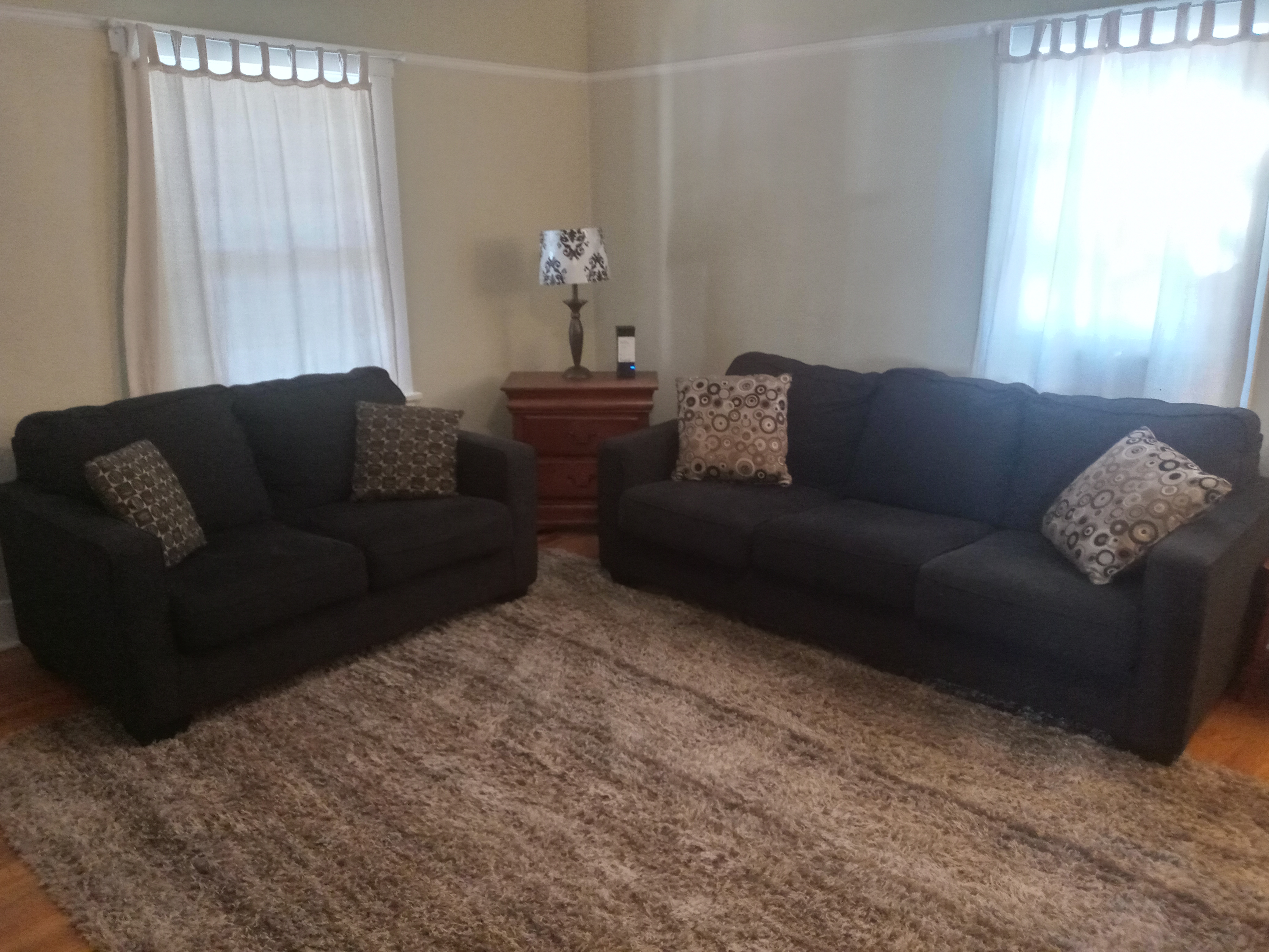 Loveseat and three-seat sofa, dark, clean, and comfy