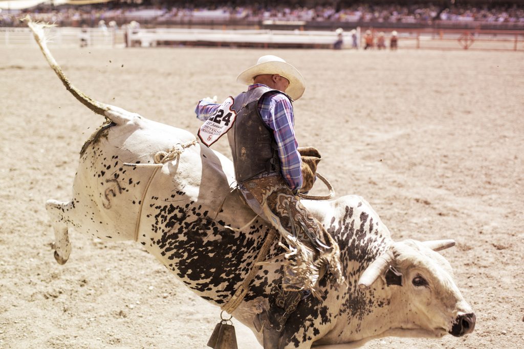 Cheyenne Frontier Days 2025 - Cheyenne Wyoming's Main Attraction